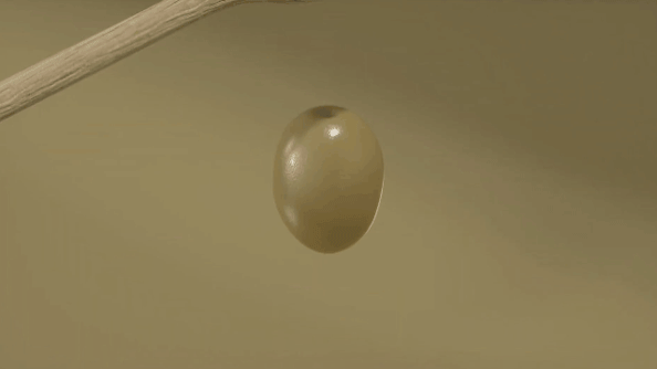 微信图片_20201127085534.gif