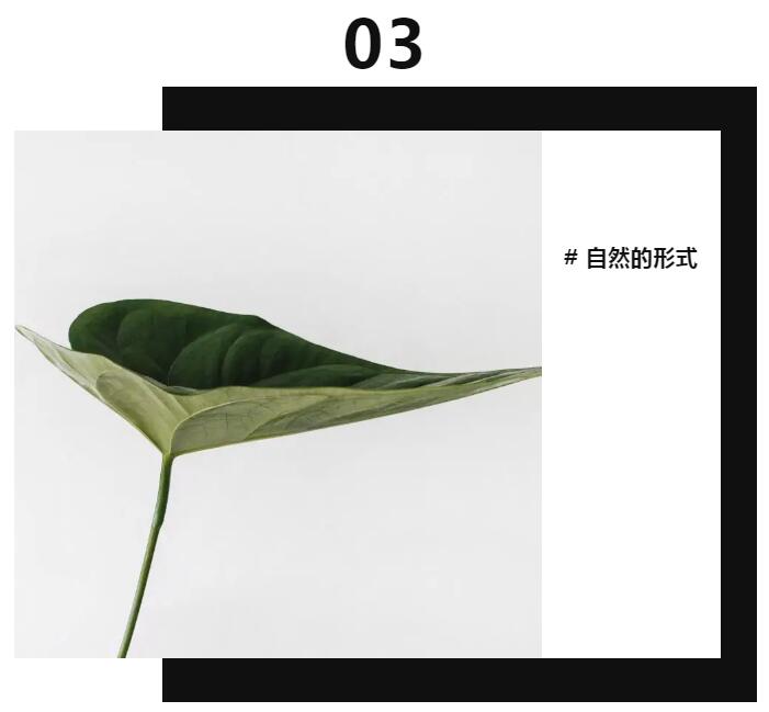 QQ截图20210826142821.jpg